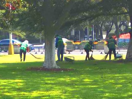 小區(qū)綠化養(yǎng)護